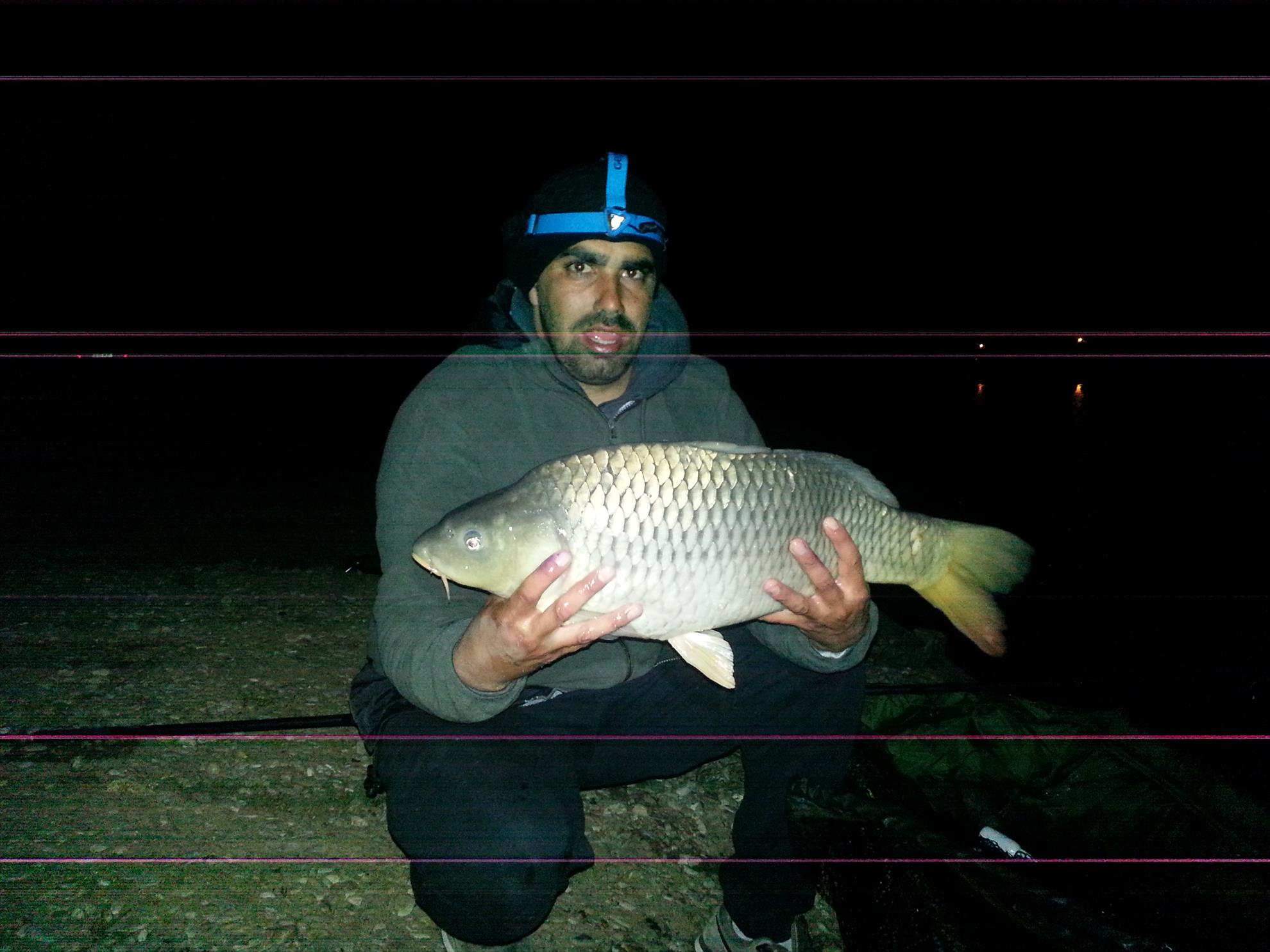 Hermes Peris 3 - 5 aprilie 2015 - 20150403213700.jpg